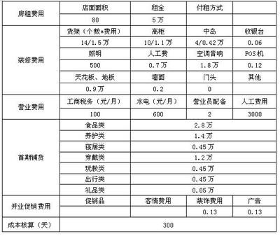 嬰童店開店投資計劃書(三) 投資策劃與實施方案